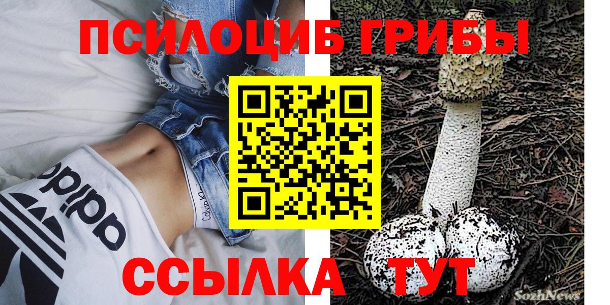 Псилоцибиновые грибы Magic Shrooms Карталы